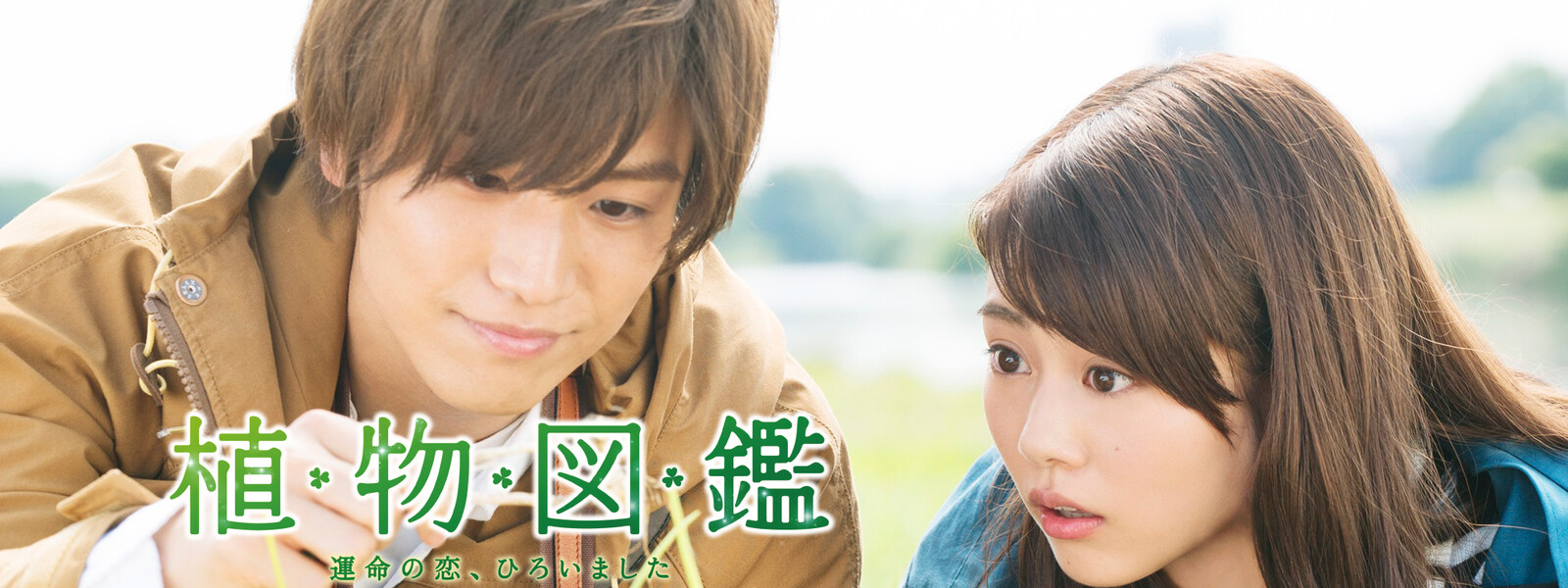 植物図鑑 映画 フル 無料 キュンキュンする映画はコレ 恋愛ラブコメおすすめ