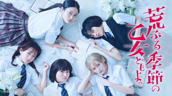 ドラマ|荒ぶる季節の乙女どもよ。の動画を無料で見れる配信サイトまとめ ドラマ|荒ぶる季節の乙女どもよ。の動画を無料で見れる配信サイトまとめ