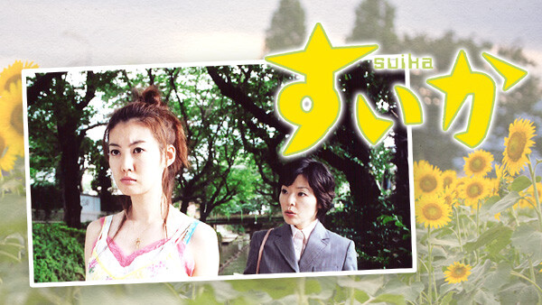 ドラマ|すいかの動画をフルで無料視聴できる配信サイトまとめ ドラマ|すいかの動画をフルで無料視聴できる配信サイトまとめ