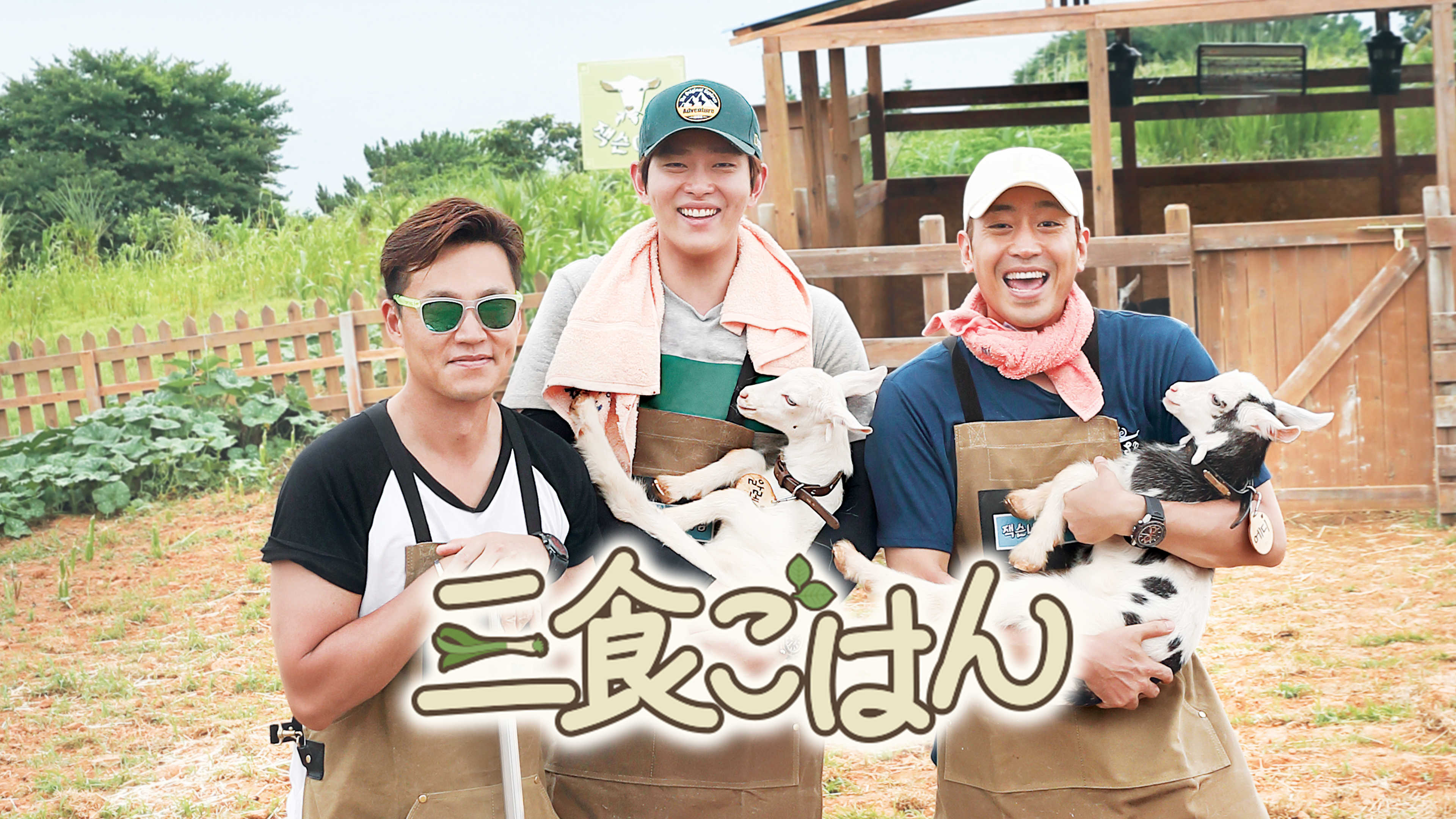 三食ごはん が見放題 Hulu フールー お試し無料