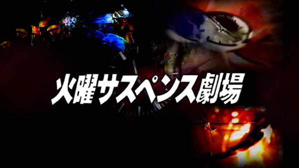 火曜サスペンス劇場 雨やどりの恋 ~うさぎと亀より~ Hulu(フールー)