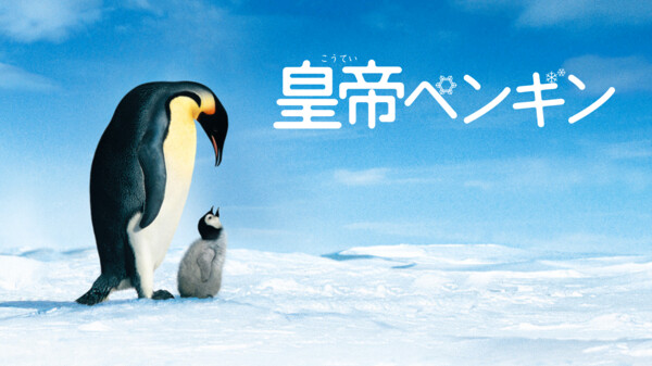 字 皇帝ペンギン が見放題 Hulu フールー お試し無料 字 皇帝ペンギン が見放題 Hulu フールー お試し無料