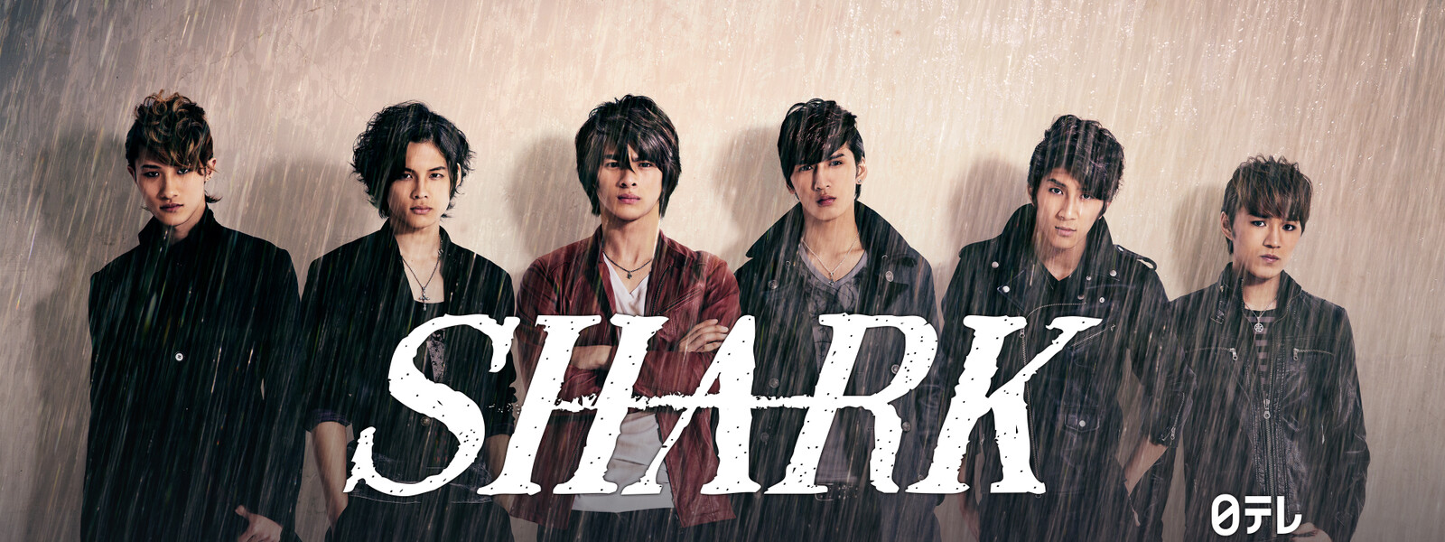 SHARK 動画