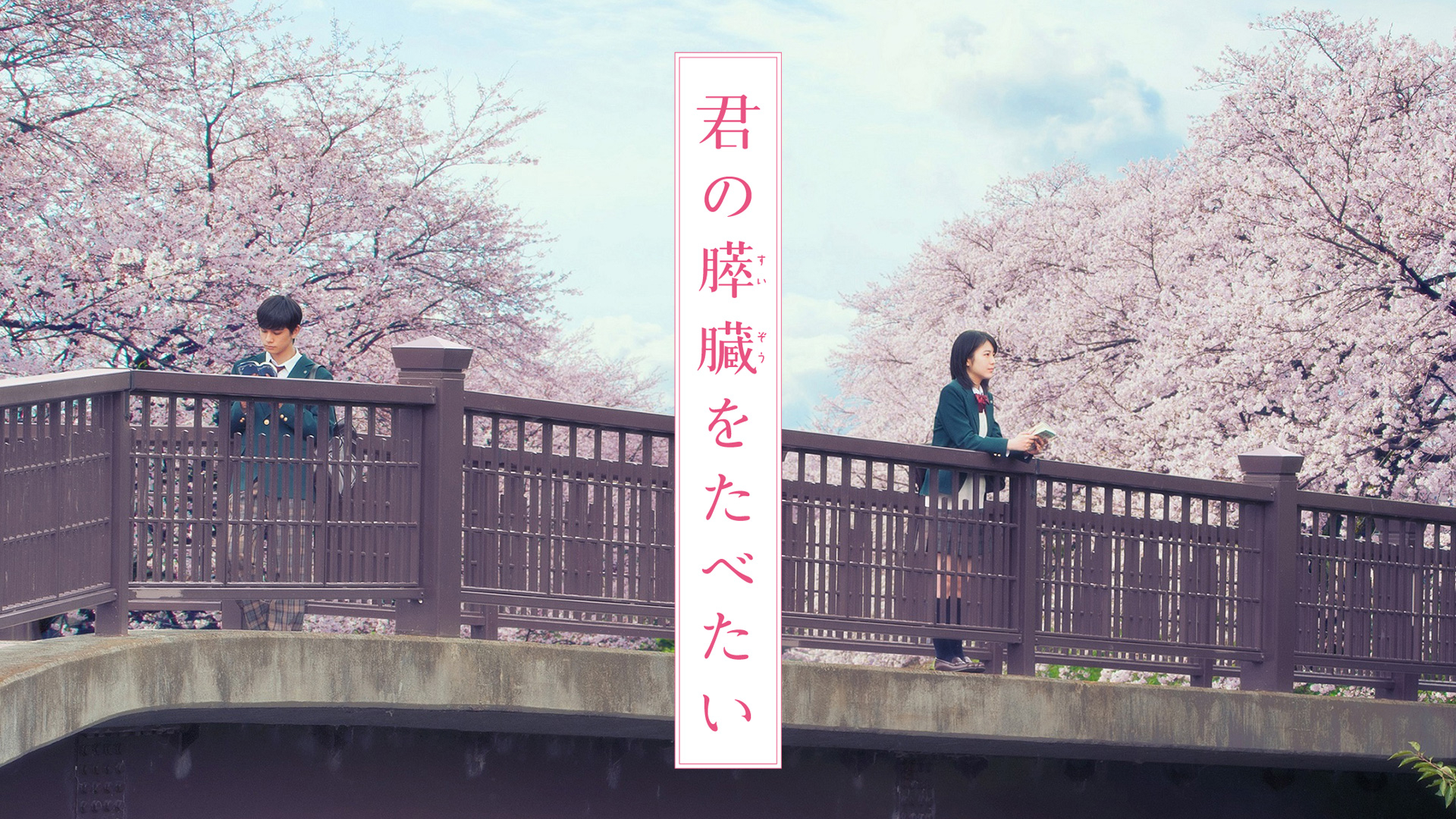君の膵臓をたべたい が見放題 Hulu フールー お試し無料