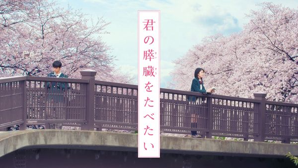 君の膵臓をたべたい が見放題 Hulu フールー お試し無料