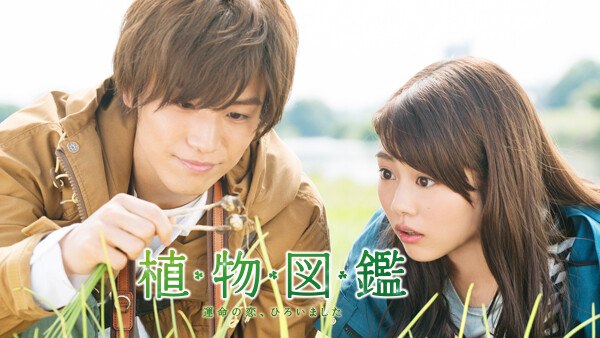 植物図鑑 運命の恋 ひろいました が見放題 Hulu フールー お試し無料 植物図鑑 運命の恋 ひろいました が見放題 Hulu フールー お試し無料