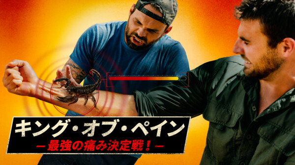 キング オブ ペイン 最強の痛み決定戦 字 Vs 殺人スズメバチ タランチュラ が見放題 Hulu フールー お試し無料 キング オブ ペイン 最強の痛み決定戦 字 Vs 殺人スズメバチ タランチュラ が見放題 Hulu フールー お試し無料