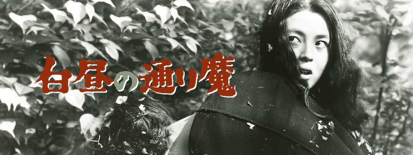 白昼の通り魔 が見放題! Hulu(フールー) 【お試し無料】