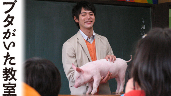 ブタがいた教室 が見放題 Hulu フールー お試し無料 ブタがいた教室 が見放題 Hulu フールー お試し無料