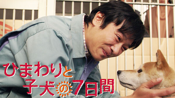 ひまわりと子犬の7日間 が見放題 Hulu フールー お試し無料 ひまわりと子犬の7日間 が見放題 Hulu フールー お試し無料