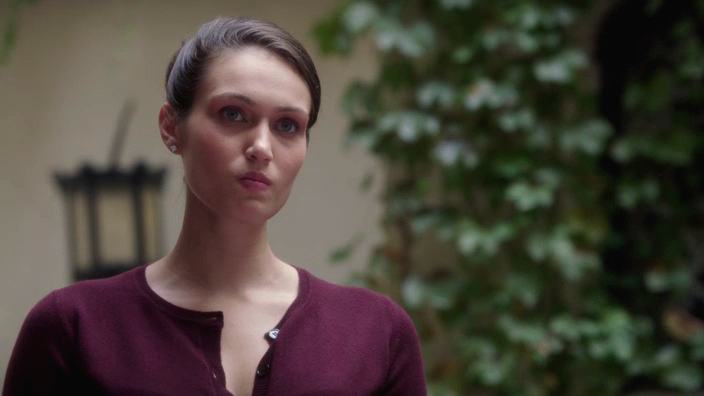 パーソン オブ インタレスト 犯罪予知ユニット 第26話 美しき迷い子の動画 日本語字幕付き